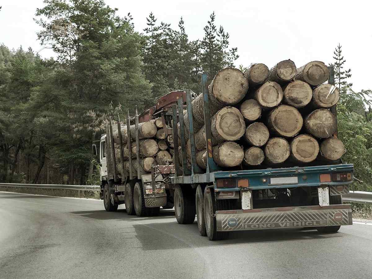 https://egylog.com/wp-content/uploads/2017/08/inner_big_trucks_01.jpg