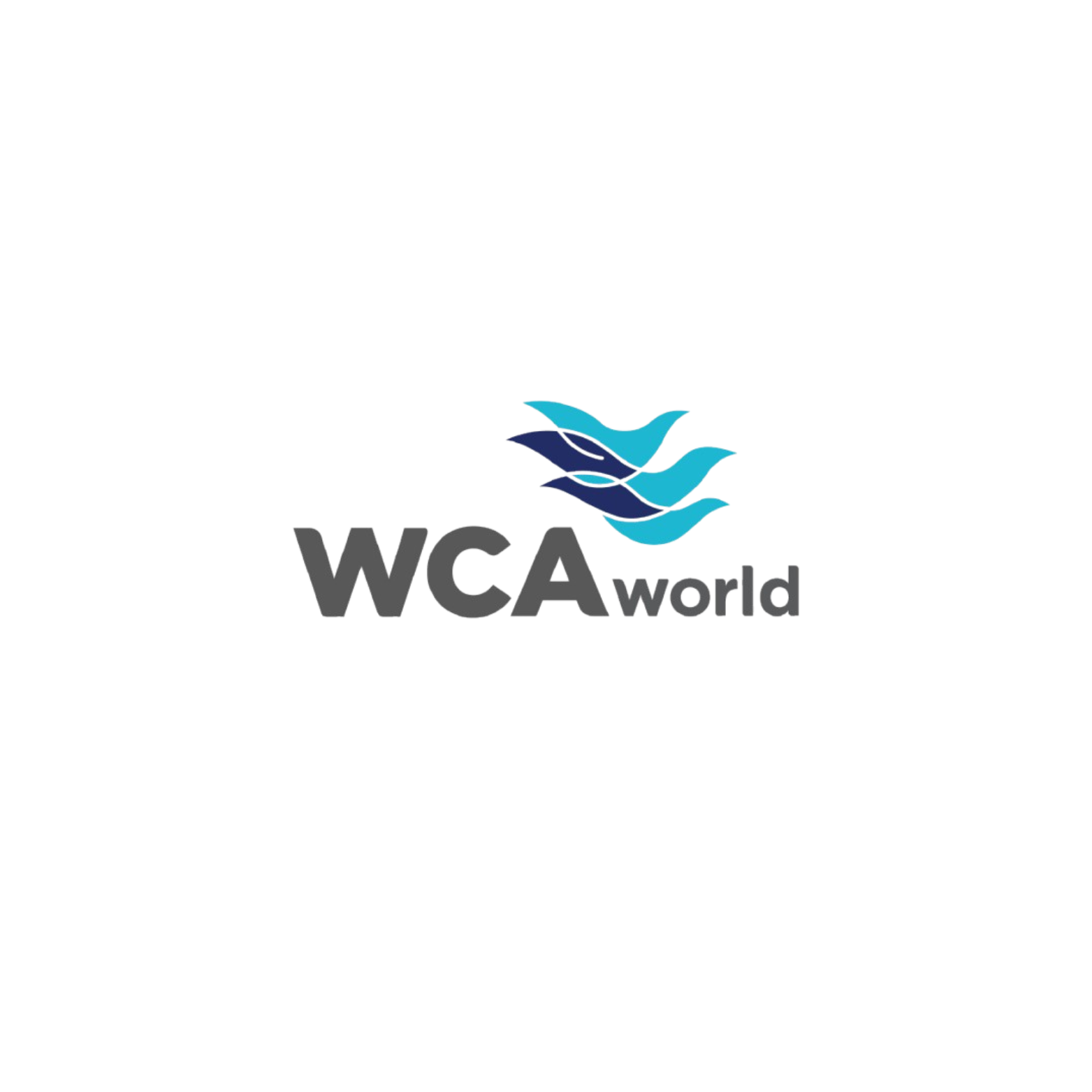 https://egylog.com/wp-content/uploads/2025/05/WCA.png